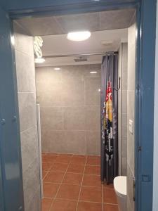 a bathroom with a shower and a toilet in a room at 2 Wheels Granada Motocamp in Vallequemado +11 photos