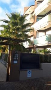 a palm tree in front of a building at Spiaggia Serena - con giardino e box a 10 mt dal mare in Ceriale
