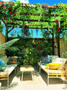 Κήπος έξω από το Oasis