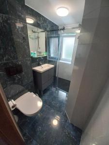 a bathroom with a toilet and a sink and a shower at APARTAMENTY i POKOJE "PASJA" - 2 minuty do plaży in Dźwirzyno +41 photos
