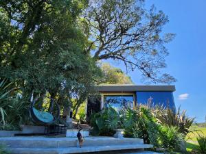 a cat sitting on the stairs of a tiny house at Cabana QUARTZO- Vista para PONTO TURISTIC0 Pedra Morro do Campestre- ACESSO até a cabana asfaltado in Urubici