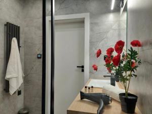 Łazienka w obiekcie Modern Apartment