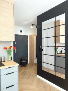Kuchnia lub aneks kuchenny w obiekcie Modern Apartment