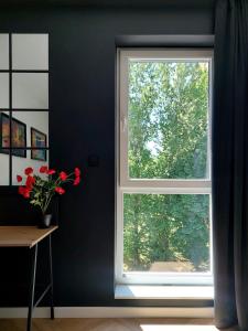 Zdjęcie z galerii obiektu Modern Apartment w Bielsku Białej