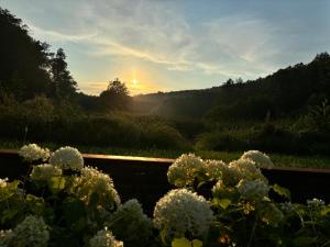 a view of the sunset from a garden with flowers at Schössersmühle in Eisenberg +3 photos