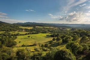 a green field with trees and mountains in the distance at Studio Blackk in Digne-les-Bains +4 photos