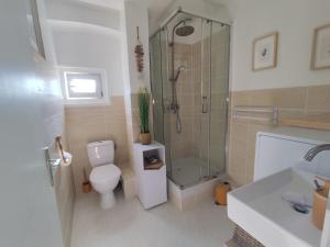 a bathroom with a shower and a toilet and a sink at Appartement cosy village entre mer et nature in Le Pradet +18 photos