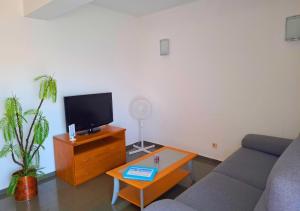 un salon avec un canapé et une télévision dans l'établissement Alltravel Vila Rosa apartment, à Portimão