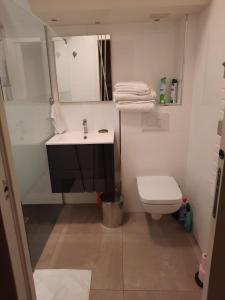 パリにあるHavre de paix près de Roland Garrosの洗面台、トイレ、鏡のあるバスルーム