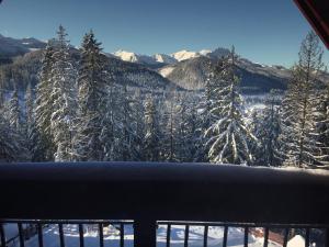Príroda v okolí apartmánu