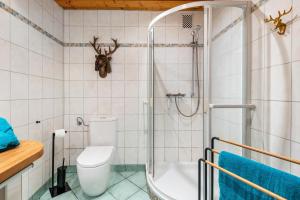 a bathroom with a toilet and a shower at Ferienhaus Sonnenplatz Am See in Roding +25 photos