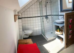 a bathroom with a shower and a toilet and a sink at L'escalette in Vernoux-en-Vivarais +5 photos