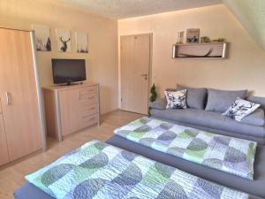 ein Wohnzimmer mit Couch und Fernseher in der Unterkunft Ferienhaus Seefried in Baiersbronn