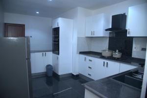 Kuchyň nebo kuchyňský kout v ubytování Kingston Luxury Apartments