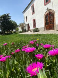 Zahrada ubytování Masia Can Teulera