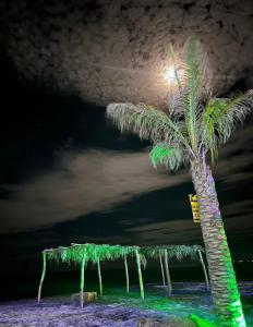 Fotografie z fotogalerie ubytování Casa Mezcal v destinaci Nueva Gorgona