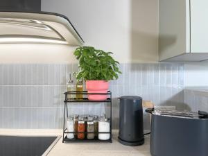 a shelf in a kitchen with a potted plant at FRITZ21 Ferienwohnung Kellenhusen in Kellenhusen +23 photos