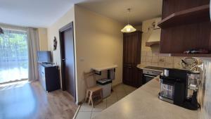 Kuchyňa alebo kuchynka v ubytovaní Apartament nad Potokiem