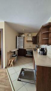 Kuchyňa alebo kuchynka v ubytovaní Apartament nad Potokiem