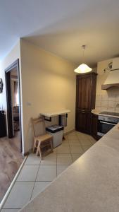 Kuchyňa alebo kuchynka v ubytovaní Apartament nad Potokiem