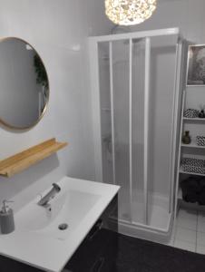 a bathroom with a shower and a sink and a mirror at Le Manoir de la Pichardière in Cherrueix +63 photos