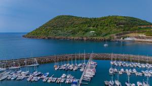 eine Reihe von Booten liegen in einem Hafen vor Anker in der Unterkunft Yellow House - Casa 2 in Angra do Heroísmo