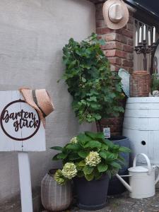 Fotografie z fotogalerie ubytování Wohnen im NATURNEST v destinaci Podersdorf am See