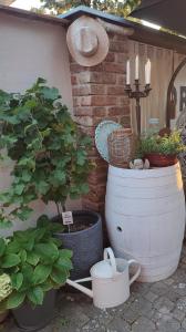 Fotografie z fotogalerie ubytování Wohnen im NATURNEST v destinaci Podersdorf am See