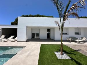 ein weißes Haus mit einer Palme im Hof in der Unterkunft Alda & Aljosía in Chiclana de la Frontera