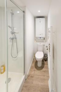 a bathroom with a shower and a toilet at Appartement - Washington 3 in Le Havre +39 photos