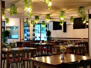 ein Restaurant mit Holztischen und -stühlen und Lichtern in der Unterkunft Defileu in Bumbeşti-Jiu
