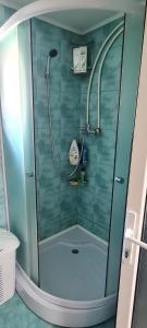a shower with a glass door in a bathroom at Casa de vacanta La Fane in Valcea