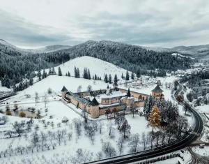 an aerial view of a resort in the snow at Life-forever in Suceviţa