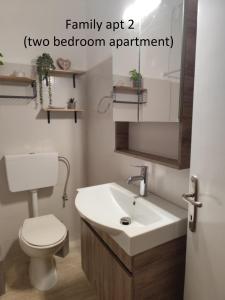 a bathroom with a sink and a toilet and a mirror at Elaionas Holiday Home studios and apartments in Agios Stefanos