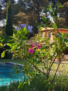 En have udenfor Le mas des escans