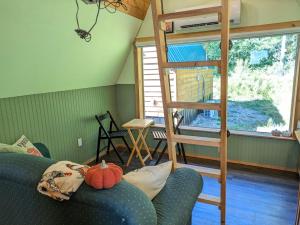 a living room with a ladder and a couch at Farmhouse cabin on family farm in Powell River +13 photos
