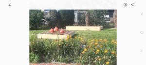a garden with some red pots in the grass at Vacances proche des sables d'olonne Vendée in Le Girouard +3 photos