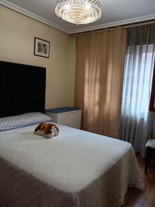 Ένα ή περισσότερα κρεβάτια σε δωμάτιο στο Hospedajes Oviedo +4 φωτογραφίες