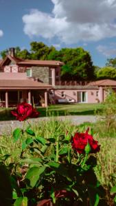 two red roses in front of a house at Casa de Campo Petit Lodge in Estancia Grande