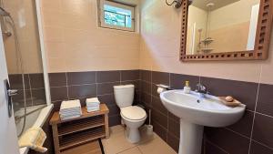 een badkamer met een wastafel, een toilet en een spiegel bij Le Clos de l'Autel  +22 foto's