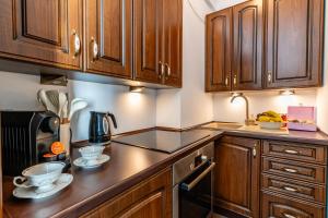 a kitchen with wooden cabinets and a counter top at Kopernik Park in Olsztyn