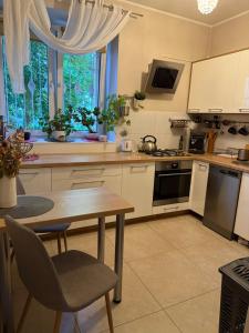 Kuchyň nebo kuchyňský kout v ubytování Mieszkanie w samym centrum