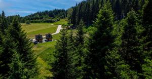 Príroda v okolí horskej chaty