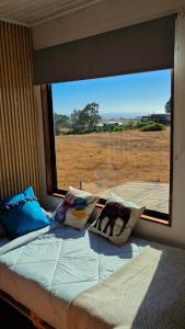 a bed in a room with a view of a field at Alto Catrianca in Chacurra