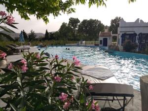 a swimming pool with pink flowers in the foreground at Le Gîte Dayet Aoua in Aït Meziane