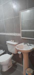 een badkamer met een toilet, een wastafel en een spiegel bij Amador Lucero apart II in San Miguel de Tucumán