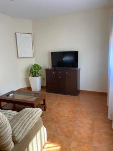 een woonkamer met een bank en een tv bij Pensión Dani in Casinos