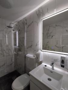a bathroom with a sink and a toilet and a mirror at Apartman Sky 1 in Gornja Toplica