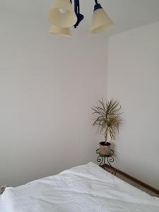 a bedroom with a bed and a potted plant at Noclegi Mieszkanie Kuchnia Żywiec in Żywiec