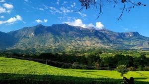 a mountain in the distance with a green field at Mulanje Vista House in Mulanje +10 photos